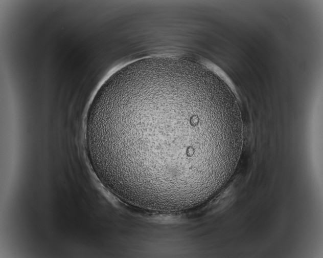 X0000085781099200703231240