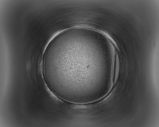 X0000085781100200703231240