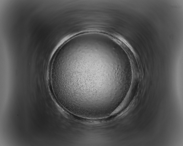 X0000085781101200703231240