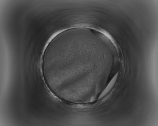 X0000085781102200703231240