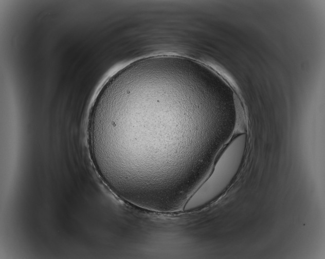 X0000085781104200703231240