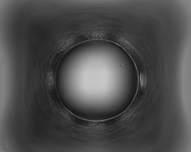 X0000085781107200703231239