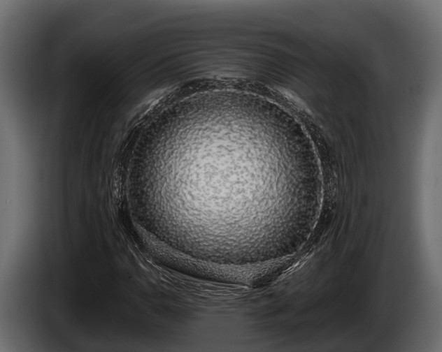 X0000085781110200703231239