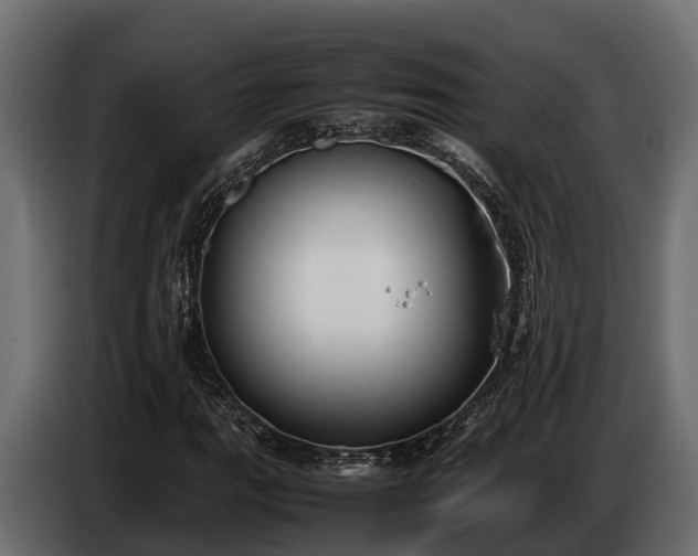 X0000085781111200703231239