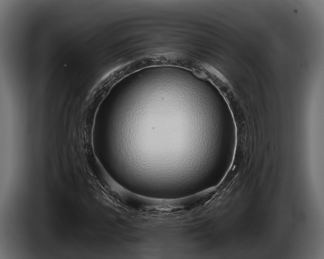 X0000085781112200703231239