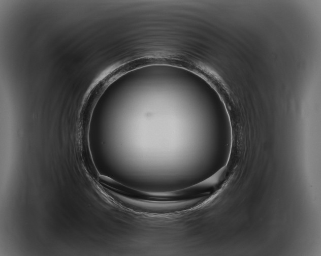 X0000085781114200703231239