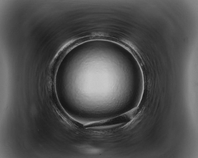 X0000085781115200703231239