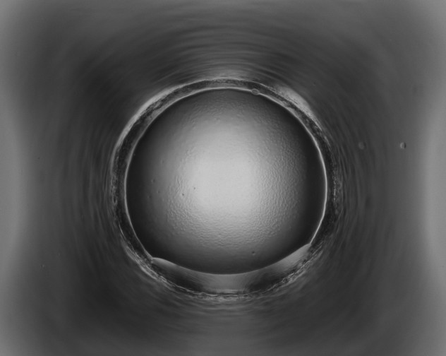 X0000085781116200703231239