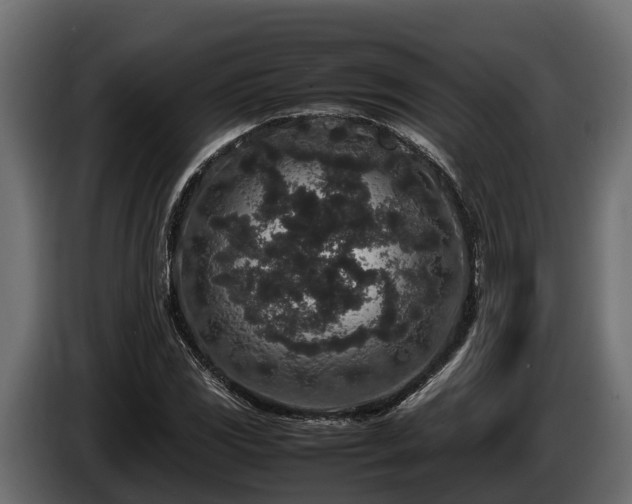 X0000085781117200703231239