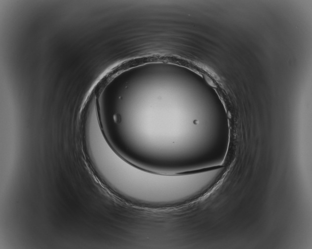 X0000085781118200703231239