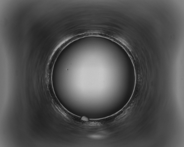 X0000085781119200703231239