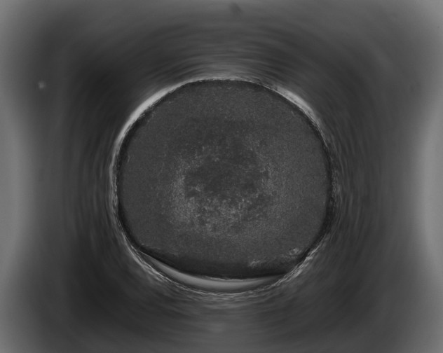 X0000085781120200703231239