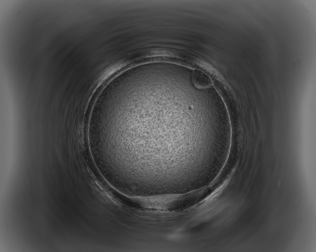 X0000085781121200703231239