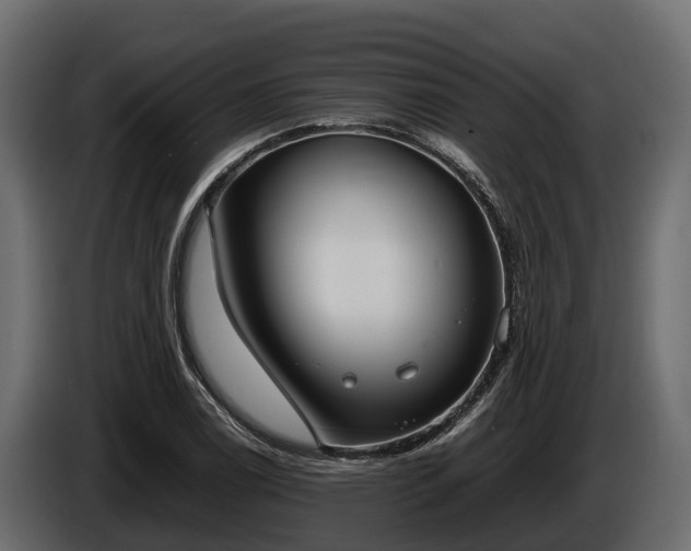 X0000085781122200703231239