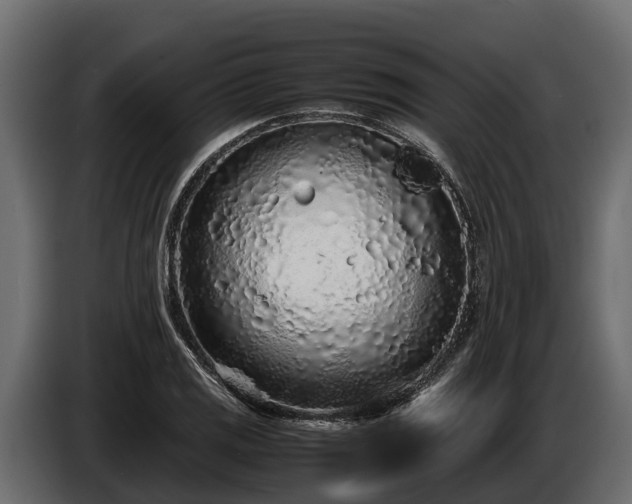 X0000085781125200703231239