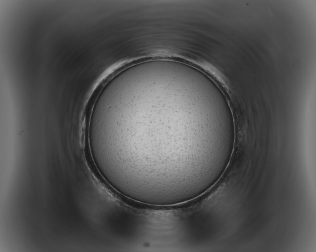 X0000085781126200703231239