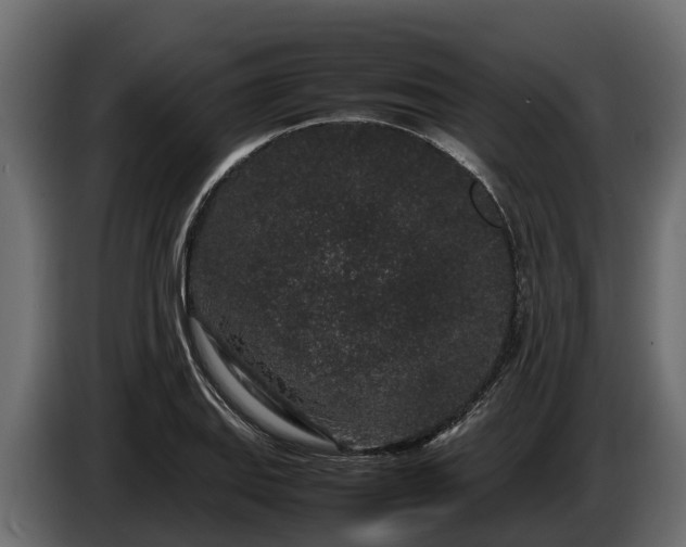 X0000085781127200703231239