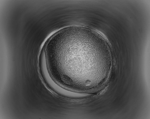 X0000085781128200703231239