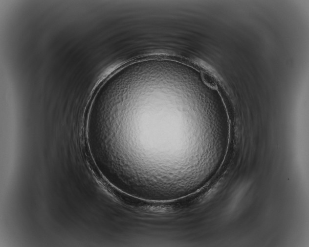 X0000085781129200703231239