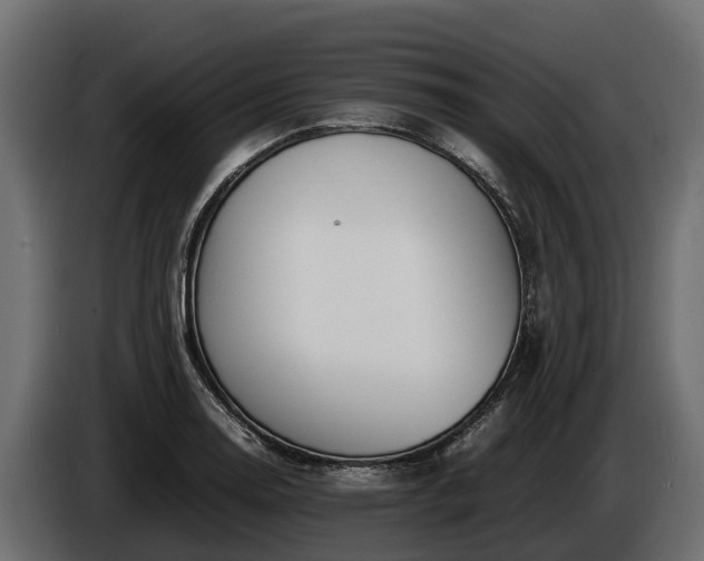 X0000085781130200703231239