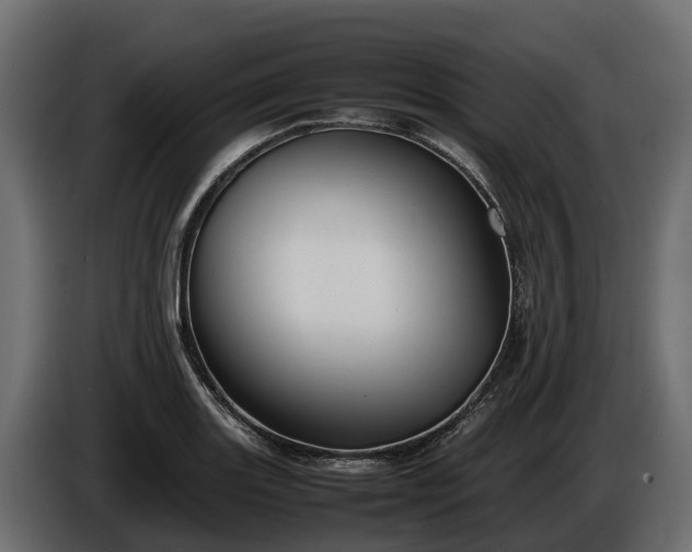 X0000085781131200703231239