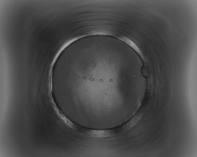 X0000085781132200703231239