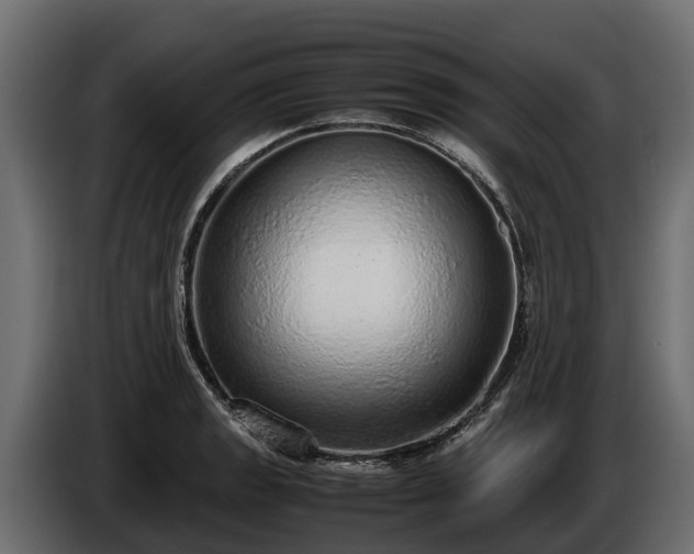 X0000085781133200703231239