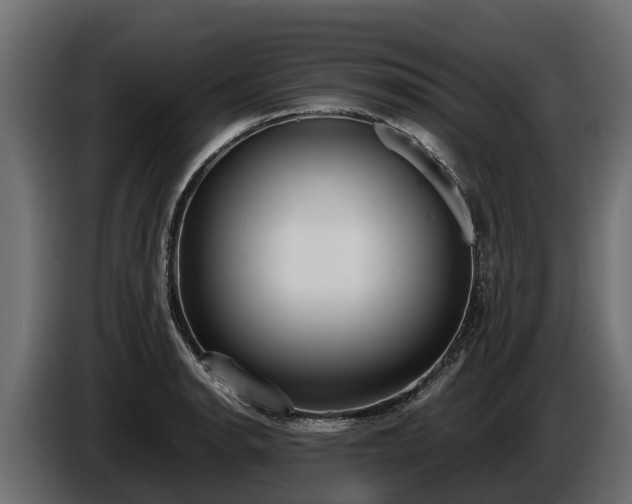 X0000085781134200703231239