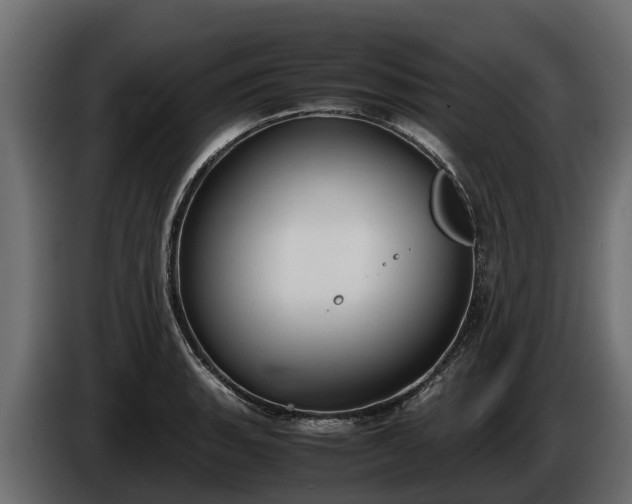 X0000085781135200703231239