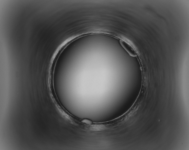 X0000085781136200703231239