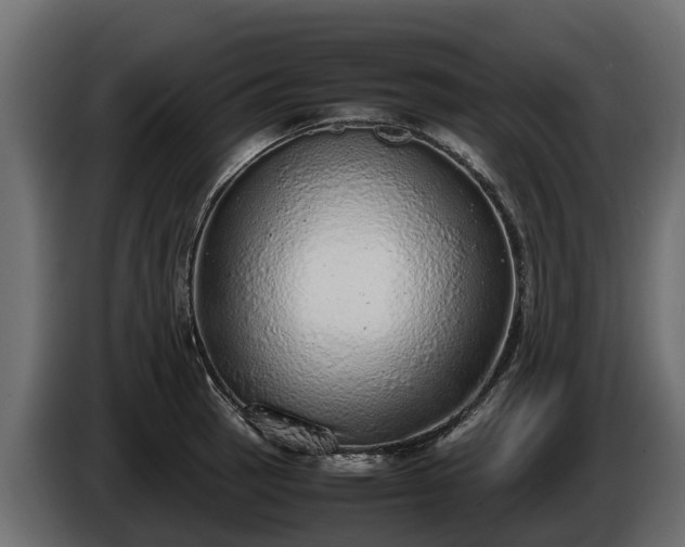 X0000085781137200703231239