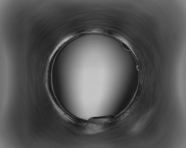 X0000085781139200703231240