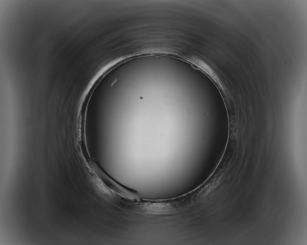 X0000085781140200703231240