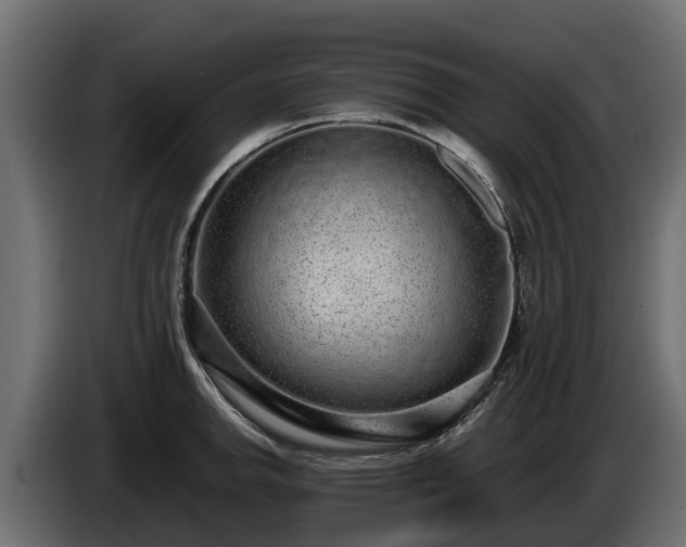 X0000085781142200703231240