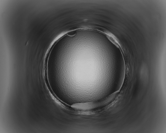 X0000085781143200703231240