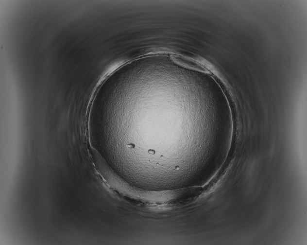 X0000085781145200703231240