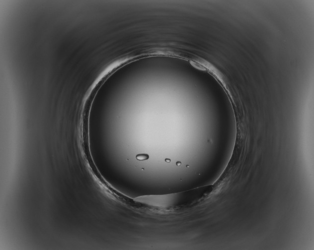 X0000085781147200703231240