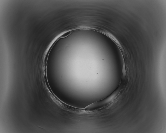 X0000085781148200703231240