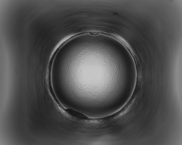 X0000085781149200703231240