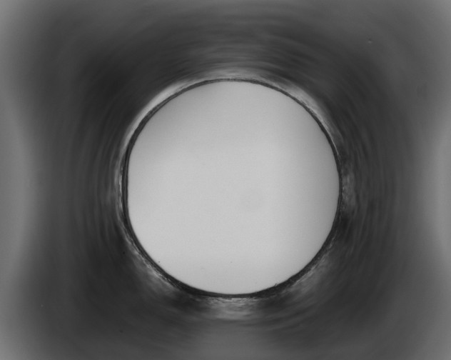 X0000085781150200703231240