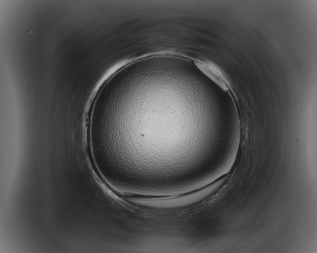 X0000085781151200703231240