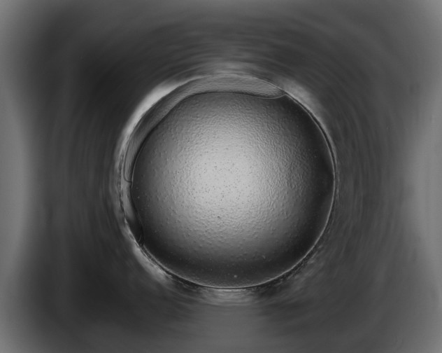 X0000085781152200703231240