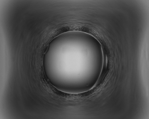 X0000085781153200703231239