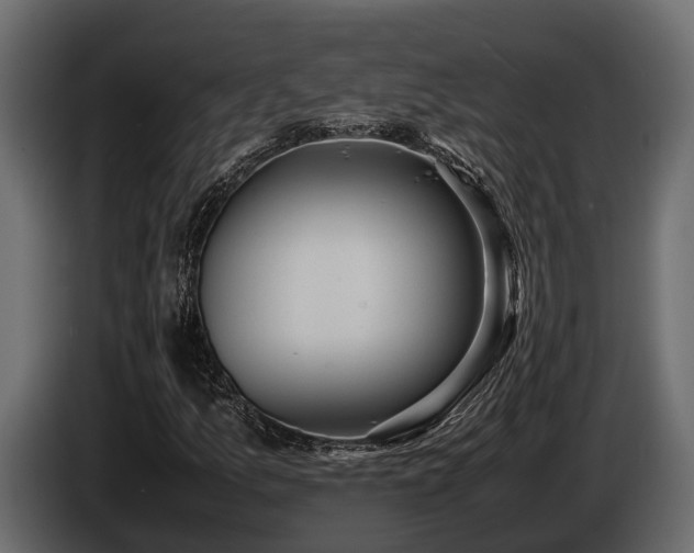 X0000085781157200703231239