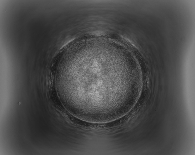 X0000085781158200703231239