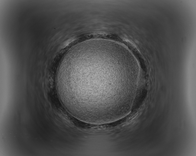 X0000085781159200703231239