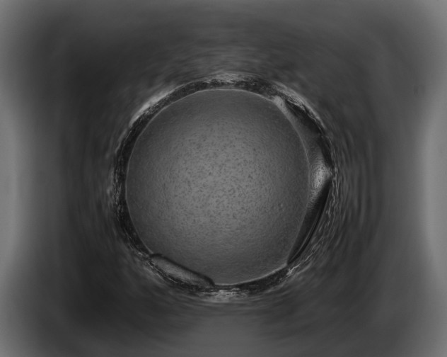 X0000085781160200703231239