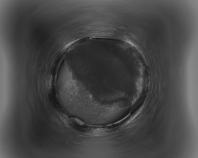 X0000085781161200703231239