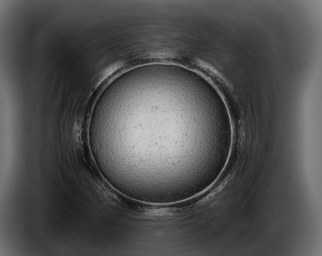 X0000085781162200703231239