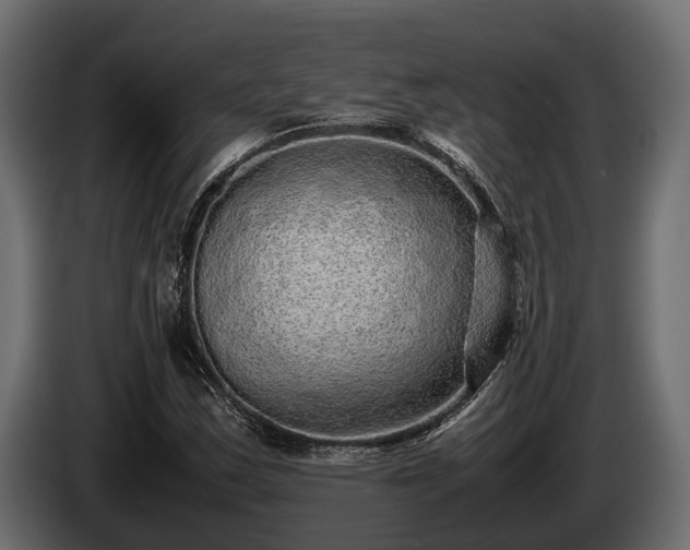 X0000085781163200703231239